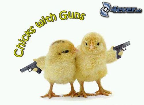 [obrazky_4ever_sk]%20chicks%20with%20guns%206749598.jpg