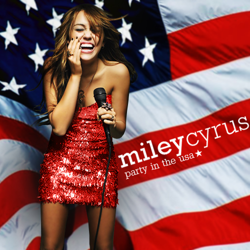 party-in-the-usa-3.jpg